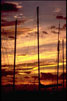 Lahaina Harbor Sunset